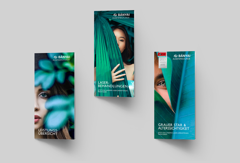 Flyer Banyai