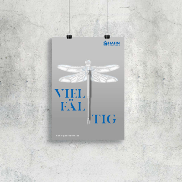 Poster für Hahn Gasfedern